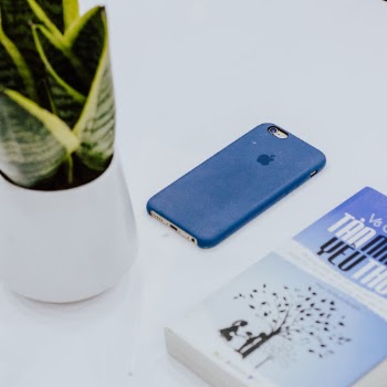 Unsplash ID erTPOr4SDmk