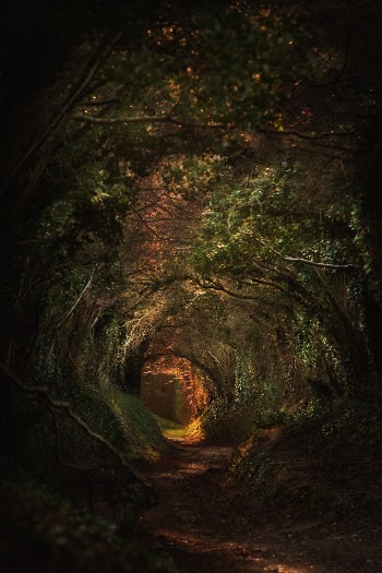 Unsplash ID eS1omi9_W58