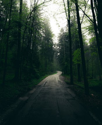 Unsplash ID esbcSyjfFnA