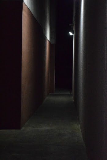 Unsplash ID ESqknv9DIuw