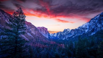 Unsplash ID ettvH_ceP7A