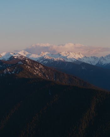 Unsplash ID EtW1pySdHuo