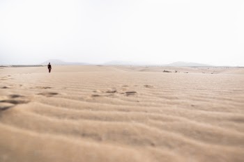 Unsplash ID eUSfRwB_qY8