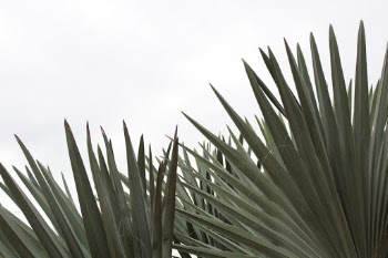 Unsplash ID eVgKrpyUHgk
