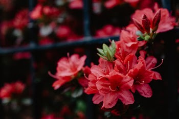 Unsplash ID _EvjXFVM9pw