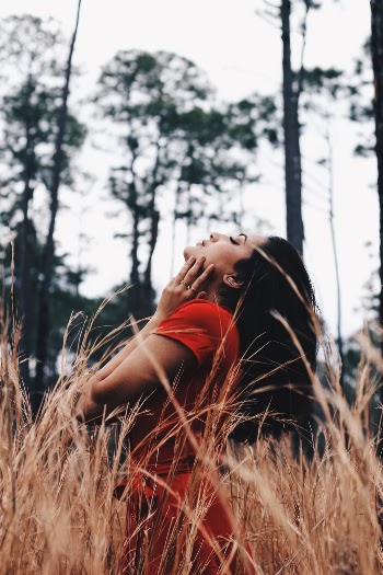 Unsplash ID eVnXDz0HjGM