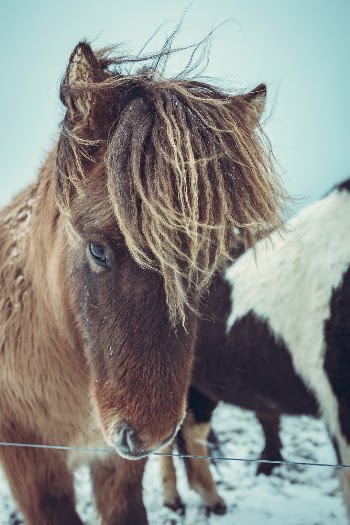 Unsplash ID EWpDy_EY9rs