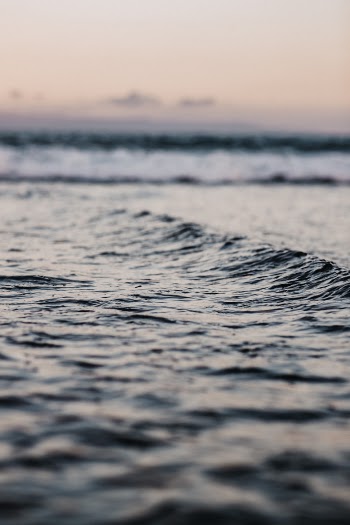 Unsplash ID EZIlJo1stHs