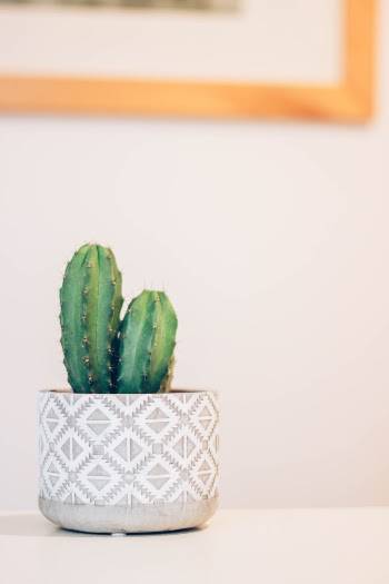 Unsplash ID F0ehv4gqqwY