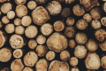 Unsplash ID f0hwZSrb1sE
