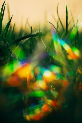 Unsplash ID _f21nKB0WNY