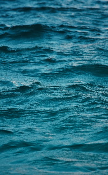 Unsplash ID f5_rRxchjoU