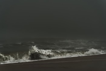 Unsplash ID _f6Ws9ZlOfE