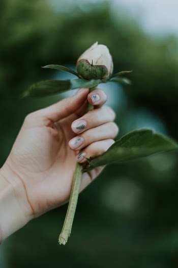 Unsplash ID f8elru3H5kE