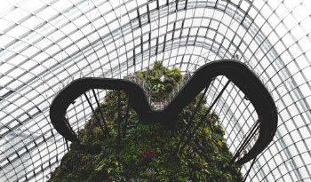 Unsplash ID f8ZH5UNsP1M