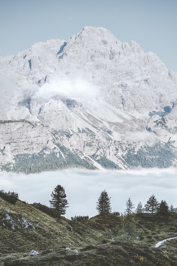Unsplash ID _FacZj2pLAc