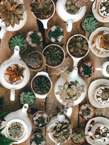 Unsplash ID FCeX9raaO0A