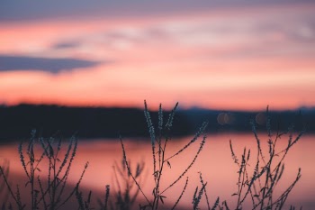 Unsplash ID FDmM7kh5PfY