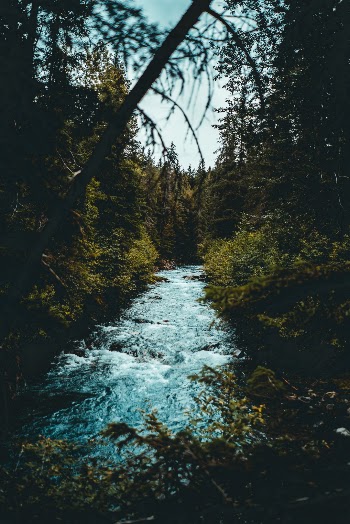 Unsplash ID fEfgPZnWudk