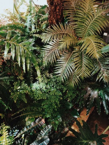 Unsplash ID fEFsgMqBifQ