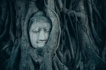 Unsplash ID FfN2aO8LA3o