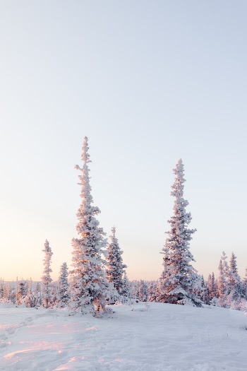 Unsplash ID FfnKDDHaW0E