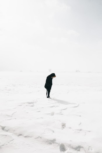 Unsplash ID fFQydPHYvM0