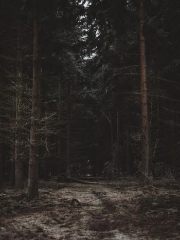 Unsplash ID fG34nL4nDZY