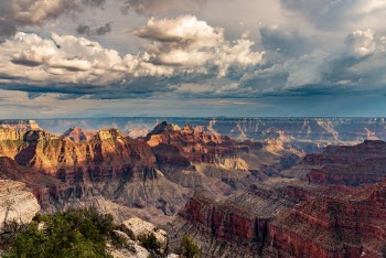 Unsplash ID fg6g2u5oklo
