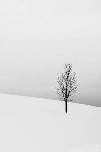 Unsplash ID Fgp8p6KD_Ks