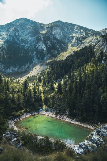Unsplash ID FHr0xRJPn8o