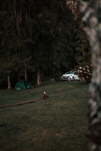 Unsplash ID Fi0LRQIiC18