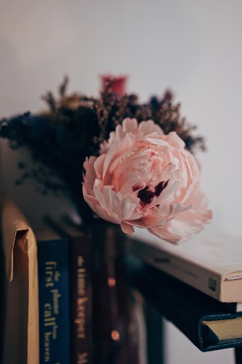 Unsplash ID Fi1DTydsN2Y