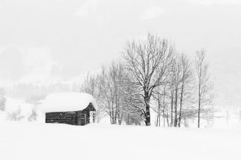 Unsplash ID fJe8hpB1e-M