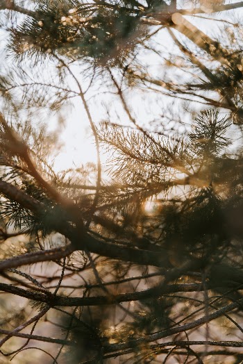 Unsplash ID fkmH_nZCh24