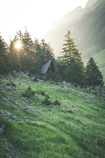 Unsplash ID fkxUyu6F2L8