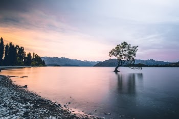 Unsplash ID fl2dfhIFAkI