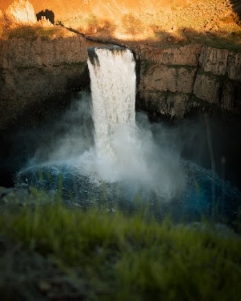 Unsplash ID fM83S5zWW8g