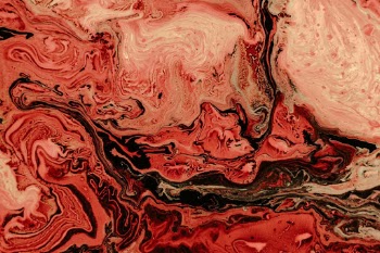 Unsplash ID fnLi5j7kPU4