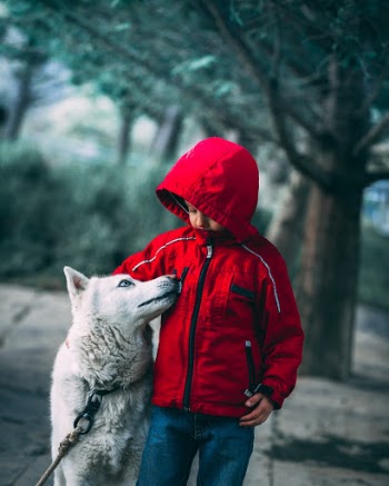 Unsplash ID FNLpmjV1rOY