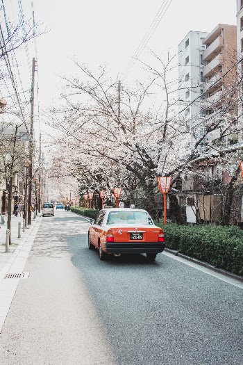Unsplash ID fPVBK_XpuYw