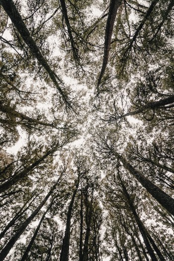 Unsplash ID fqao7izA1Fc
