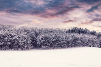 Unsplash ID FRa84GgwMA4