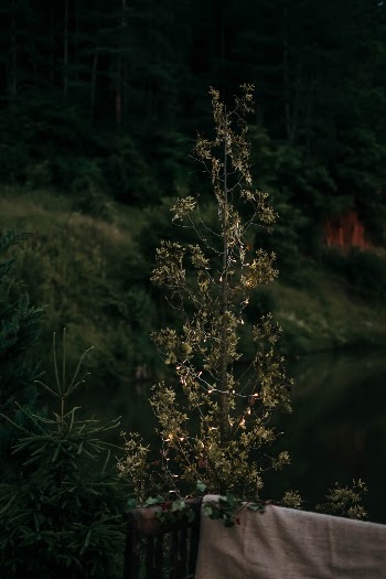 Unsplash ID FRBMjNSzh_Y