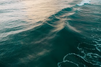 Unsplash ID fshqRXKobtg
