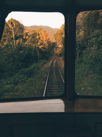 Unsplash ID ftNPerW_GXk