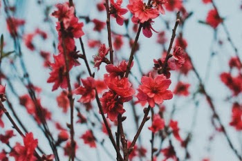 Unsplash ID fukReUqUKME
