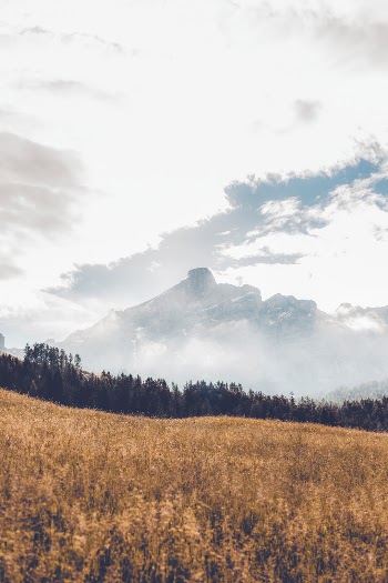 Unsplash ID FvFjSvpDiSQ