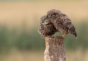 Unsplash ID FvTn9Dlv39A