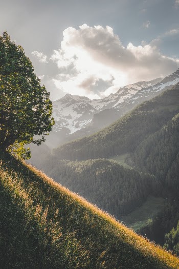 Unsplash ID FWEzKF8B5Pw